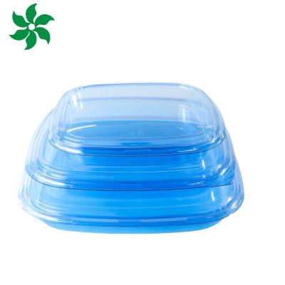 China Verpakkingsdoos voor afhaalgereedschap Plastic For Good Food Vierkante voedselcontainer Plastic BLUE Wegwerp Sushi doos Te koop