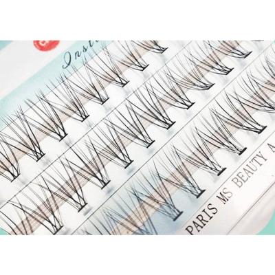 China Natural 1000.05 Hot Fusible Hairs Segmented Natural Soft Type A Eyelash Self-Grafted Single-Tuft Lashes for sale