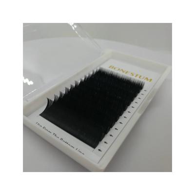 China Synthetic Individual Classic Flat 0.20c Private Label Eyelash Extensions Professional OEM Customize Design Packaging for sale