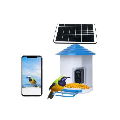 China Automatic Hot Selling Pet Bird Feeder Bird Feeder HD Intelligent Outdoor Waterproof Solar Watching Video Wireless Pet Feeder for sale