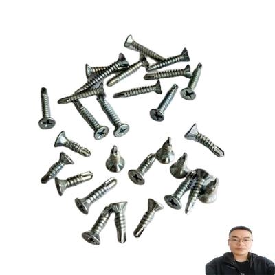 China High Quality and High Service Flat Pan Head Self Drilling Screw Galvanized White Blue for sale