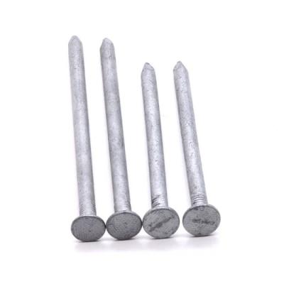 China Hot Selling Flat Round Iron Common Wire Nails Common Nail Iron for sale