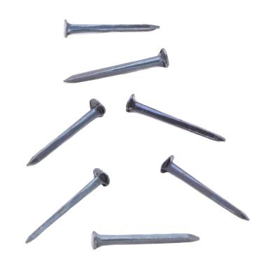 China Factory Direct Sales Flat Construction Stamping Mini Shoe Tack Nails For Sale for sale