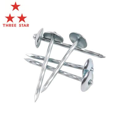 China Flat Nails Manufacturer In China China Covering Nails Umbrella Covering Joint Nail for sale