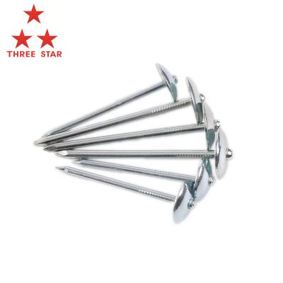 China Flat Galvanized Umbrella Head Roofing Type Nail Umbrella Roofing Nails Weight Umbrella Nails for sale