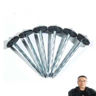 China Flat Copper Roofing Nails Size 1.5 Hot Dip Electro Galvanized Umbrella Roofing Coil Nail for sale