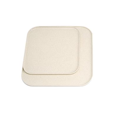 China Sustainable Polylactic Acid Material PLA Plate is Biodegradable and Environmentally Friendly Charger Plate Wholesale for sale