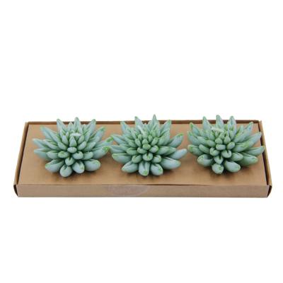 China Flameless Custom Design Artificial Plant Paraffin Cactus Candles for sale