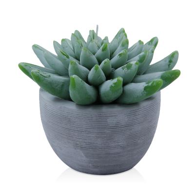 China CLASSIC Wholesale Candle Home Decorative Artificial Cactus FD19377-90 Plant for sale