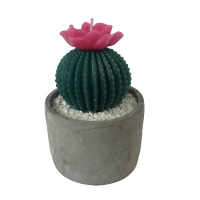 China China Manufacturer Luxury Decorative Eternal Relighting Candle Cactus Shaped Candle for sale