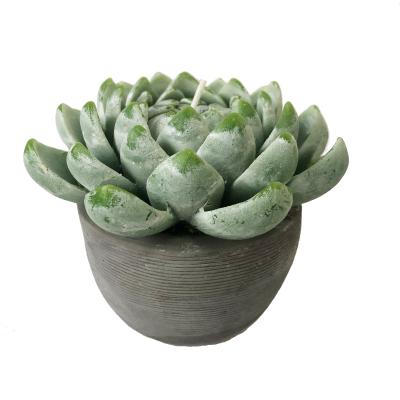 China Scented Succulents Artificial Home Private Label Decor Factory Luxury Scented Candles for sale