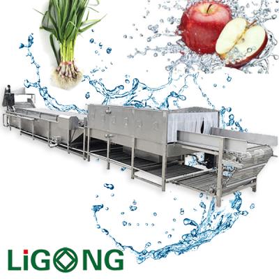 China Snack Factory Double Bubble Vegetable Washing Machine Industrial Chain Vegetable Washing Machine for sale