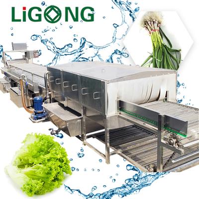 China Vegetable Washing Machine Industrial Vegetable Leek Snack Factory Onions Bubble Washing Machine for sale