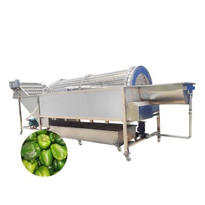 China Drum Washer Automatic Roller Fruit Vegetable Snack Plant Rotary Drum Type for sale