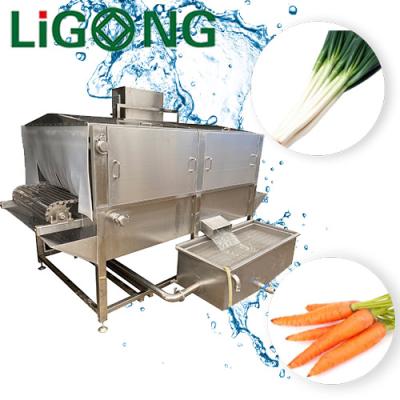 China Vegetable Snack Factory Box Jet Washing Machine Cabbage Washing for sale