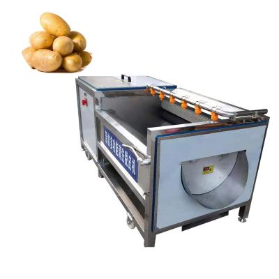 China Industrial Snacks Factory Potato Peeler Machine Potato Peeler Machine Brush Onion Washing Machine For Sale for sale