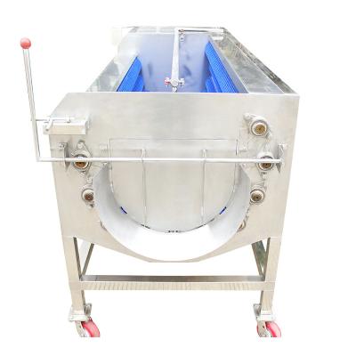 China Snacks Factory LIGONG Brush Washing Peeling Polish Machine For Vegetable And Fruit for sale