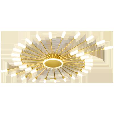 China VVS Factory Sales 60cm Designers Gold Acrylic Creative Living Room Outdoor Direct Dimming Metal Ceiling Decorative Lighting for sale