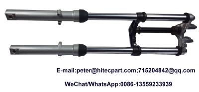 Cina Parti del motociclo di mercato degli accessori di Front Fork Assembly WY125 della sospensione del motociclo in vendita