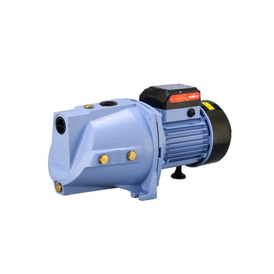 China Developing World Professional Self-Priming Water Lifting Garden Jet Pumps Solutions Cultivating Irrigation With High Head for sale