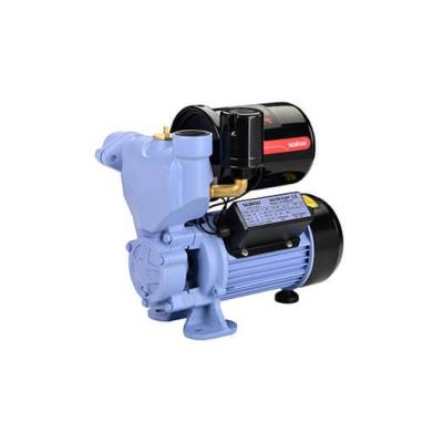 China Developing World Water Solutions Made In China Seakoo 1HP Domestic High Performance Water Pump 100% Copper Smart And Agriculture Pumps for sale