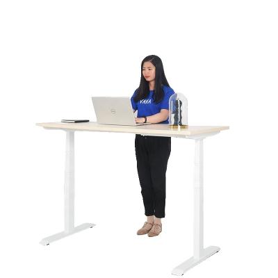 China (Height) Executive Office Workstation Double Table 211 Motor Electric Computer Sit Stand Up Desk for sale