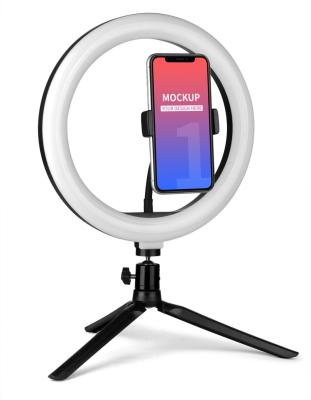 China 2022 Custom High Quality Waterproof/Shockproof Selfie Ring Vlogging Light Make Up LED Light 26cm Vivid Vapor 10inches LED Light With Outdoor for sale