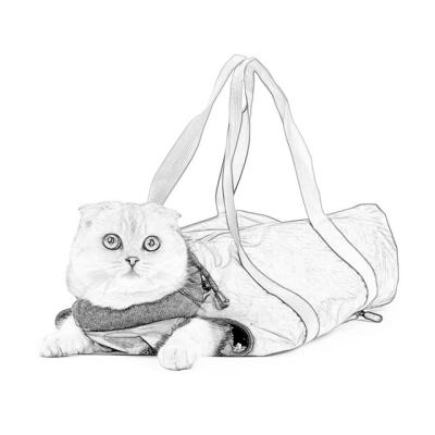 China Weita 2023 New Multifunctional Durable Constraint Oxford Stored Tote Carry Cat Bag For Travel for sale