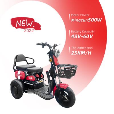 China New Design Factory Direct Sale 500w Wholesale Steel Electric Tricycle Tire Three Wheeler Electric Tricycle For Adults for sale