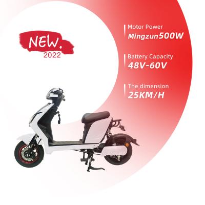 China Canada 29 inch 27.5/electric bicycle 250w electric bicycle 26inch wholesale hot sale steel vintage electric bicycle 48v 750w for sale