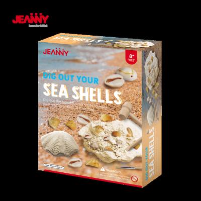 China STEM Original Toy New Product Manufacture Toys Educational Dig Out Your Sea Shells Dig Jeanny's Design Kit for sale