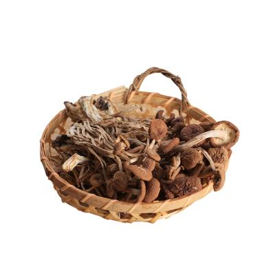 China Beautiful Appearance Natural Cultivated Fresh Dry Agrocybe Argerita Cylindracea for sale