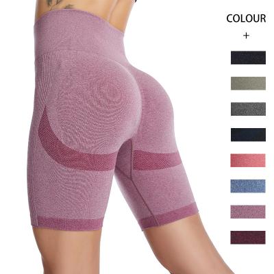 China New Breathable Summer Multi Colors Womens High Plus Size Sportswear Woman Sweated Shorts Sweat Shorts for sale