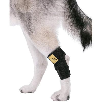 China Popular Dog Ankle Brace Leg Dogs Protector Canine Back Hock Joint Wrap Protects Sleeves Pet Knee Pad for sale