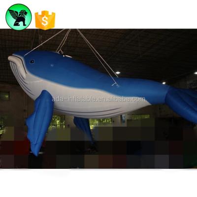 China HD Printing Customized Oxford Cloth 5m Length Event Decoration Inflatable Whale Inflatable Whale With LED Light A5041 for sale