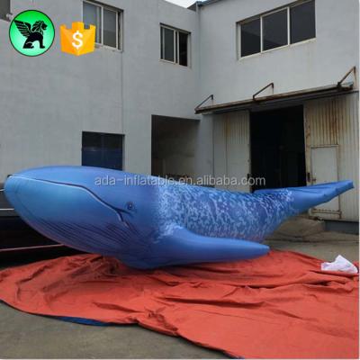 China Customized Inflatable Event Giant Whale Summer Inflatable Whale For Event A4916 for sale