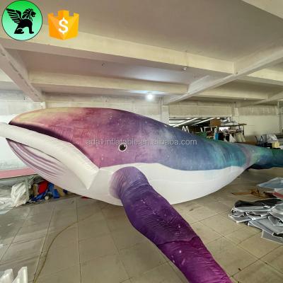 China Customized Giant Inflatable Whale Hanging Whale 6m Length Inflatable Whale Event Giant Inflatable Character For Party A8035 for sale