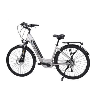 China Hot Selling Aluminum Alloy Bikes 36V 6 Speed ​​200w High Speed ​​Electric Bike For Sale for sale