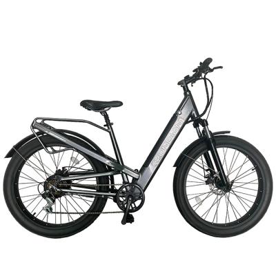 China Aluminum Alloy High Performance OEM/ODM Fat E Bike Bikes 1000W Electric Motorized Adult Electric Bicycle for sale