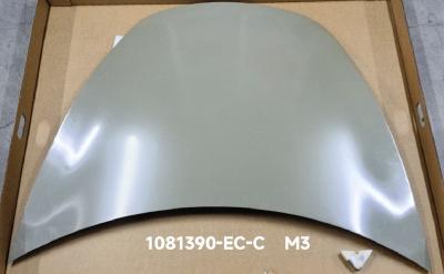 China 2017-2023 Custom Car Bonnet For Tesla Model 3 1081390-EC-C for sale