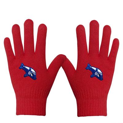 China Touch Screen Embroidery Thermal Knitted Magic Glove Ski Winter Riding Cycling Glove for sale