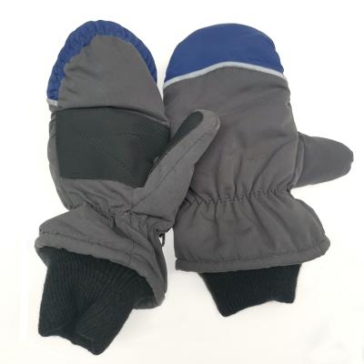 China Now Warm Coating Leather Palm Winter Mitt Unisex Windproof Insulated Ski Gloves for sale