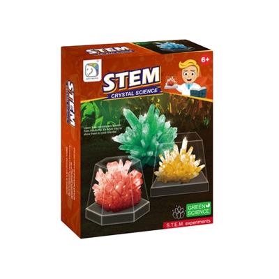 China New Item Amazon Success Item Crystal Intelligence Education Plant Science Toys High Quality Educational Diy Toys Science Educational Kits for sale