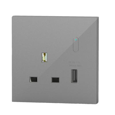 China Commercial Voice Control Socket Smart EU With Timer Wifi Socket Modern Sleek Smart Plug for sale