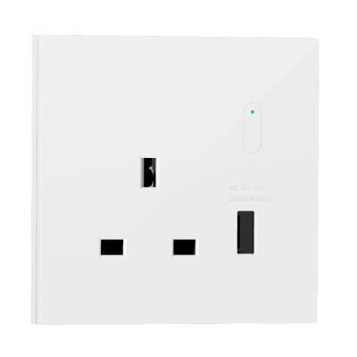 China Amazon Commercial Hot Seller Smart Socket for Household Support Remote Control Smart Switch and Socket for sale