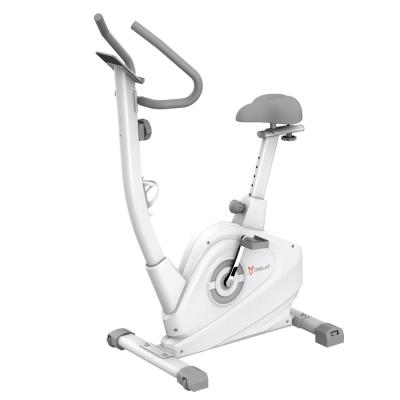 China Silent Home Use Home Use Bicycle Exercise Weight Loss Equipment Silent Exercise Bike Spinning Bike White for sale