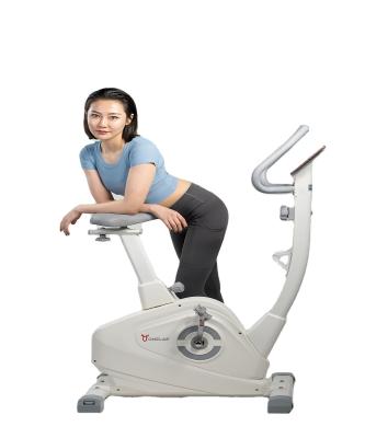 China Home Use Magene Exercise Bike G601 White Indoor Magnetic Rotating Bike Available Wireless Connection To ZWIFT for sale