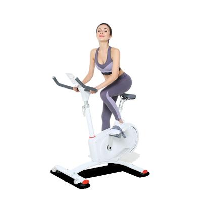 China Home Use Magene G801 Magnetic Spin Bike with Electronic Magnetic Controlled Resistance and ZWIFT Compatible for sale