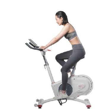 China Magene Home Use Magnetic Controlled Resistance Spinning Bike G801 with Electronic Compatible to ZWIFT Support Competition Online for sale