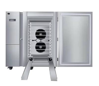 China Hotels 300L Blast Freezer /Quick Freezing/Quick Freezer For Fish Meat Bread Seafood for sale